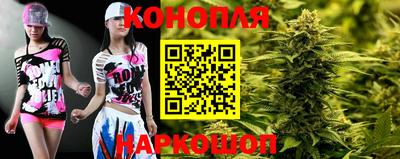 индика Нальчик