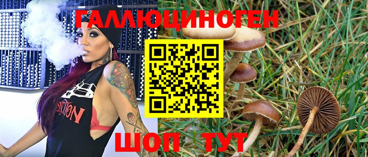 Псилоцибиновые грибы мухоморы  Псилоцибиновые грибы Psilocybine cubensis  Вход с VPN  Тамбов 