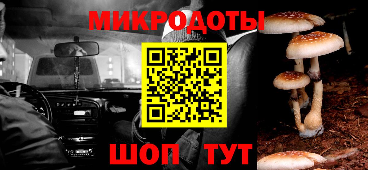 Галлюциногенные грибы Psilocybine cubensis Тамбов